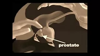 Leandra fa sesso madri troie anale.
